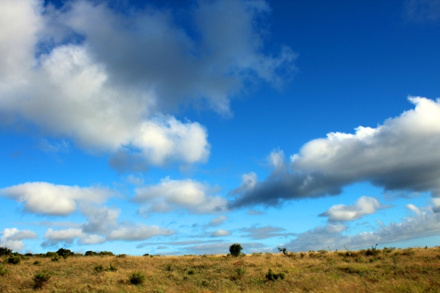blue sky nature Reserve